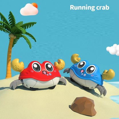 Crab Return Kindergarten Children Toy Car - Native Collection